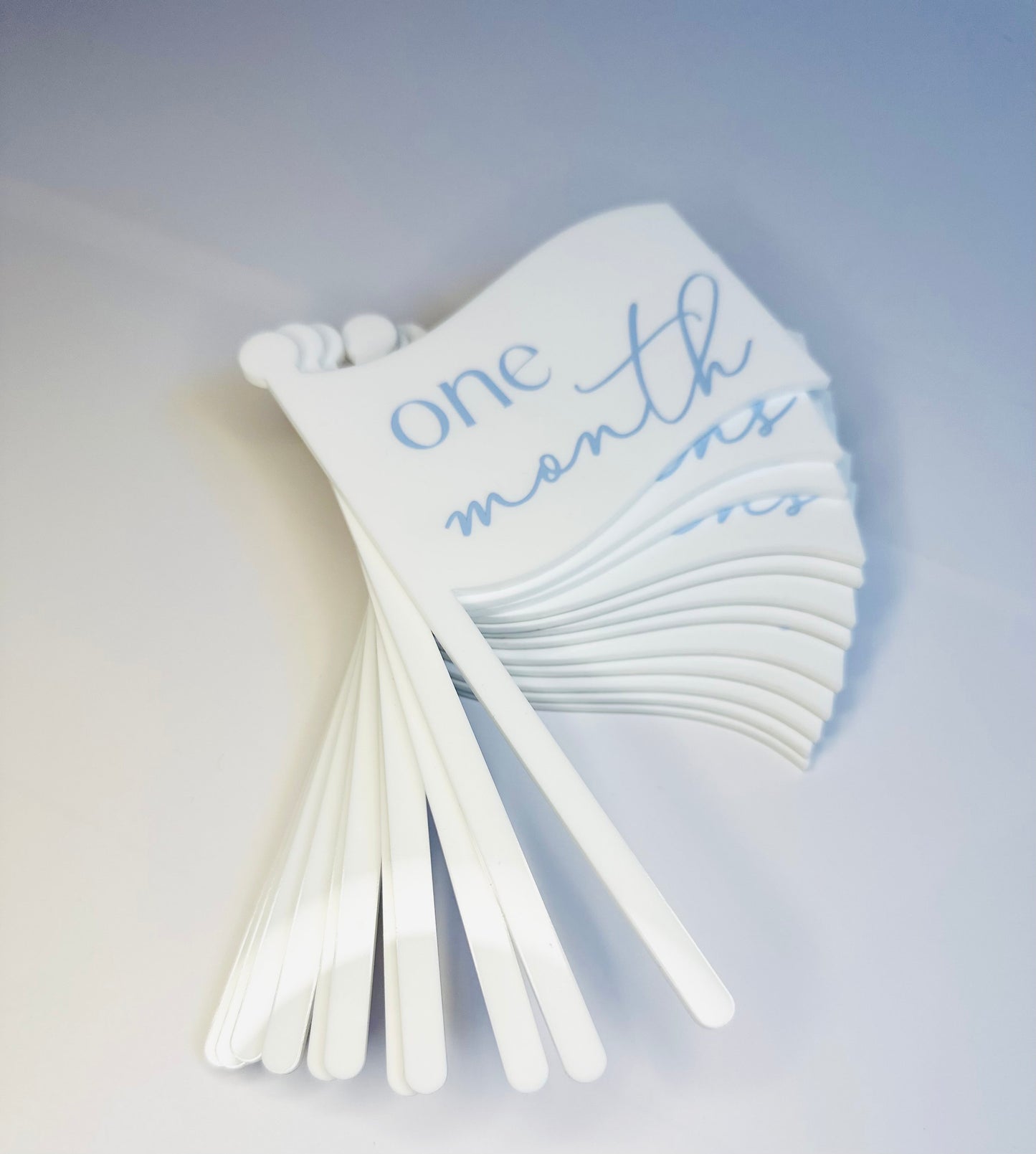 Monthly Milestone Flags - Baby's First Year