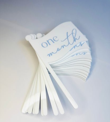 Monthly Milestone Flags - Baby's First Year