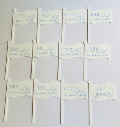 Monthly Milestone Flags - Baby's First Year