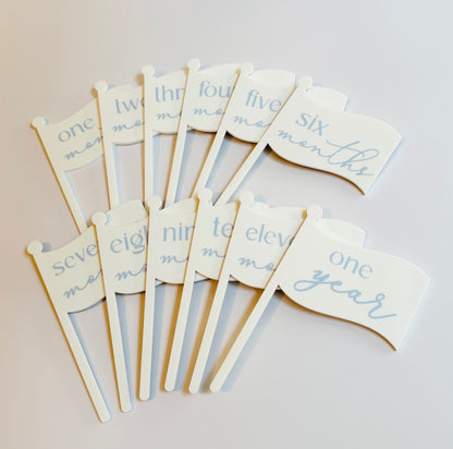 Monthly Milestone Flags - Baby's First Year