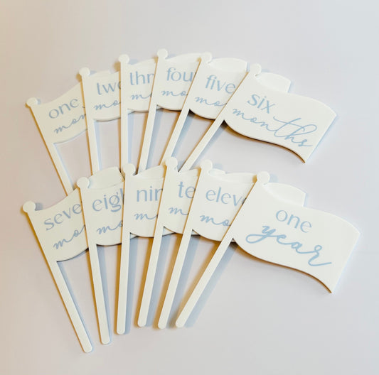 Monthly Milestone Flags - Baby's First Year
