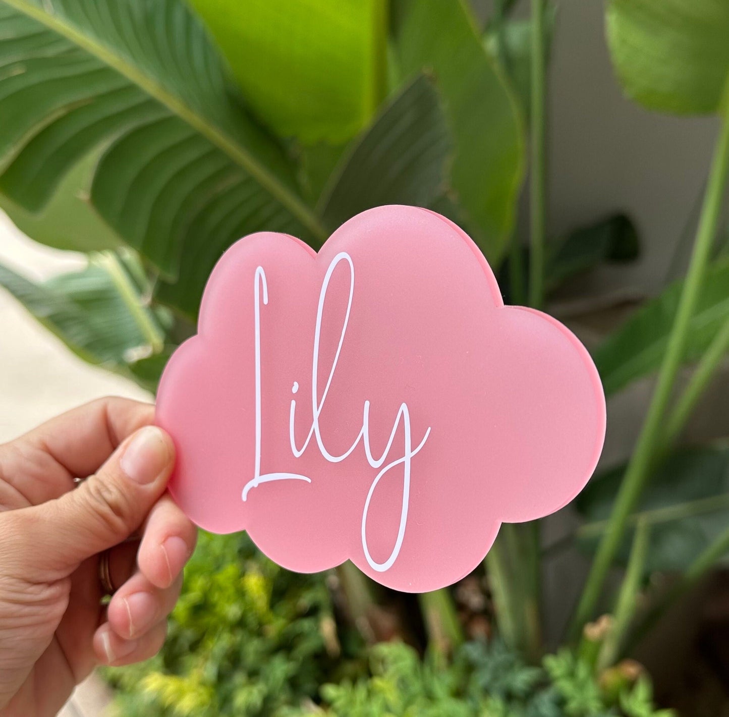Frosted Acrylic - Custom Baby Name Sign