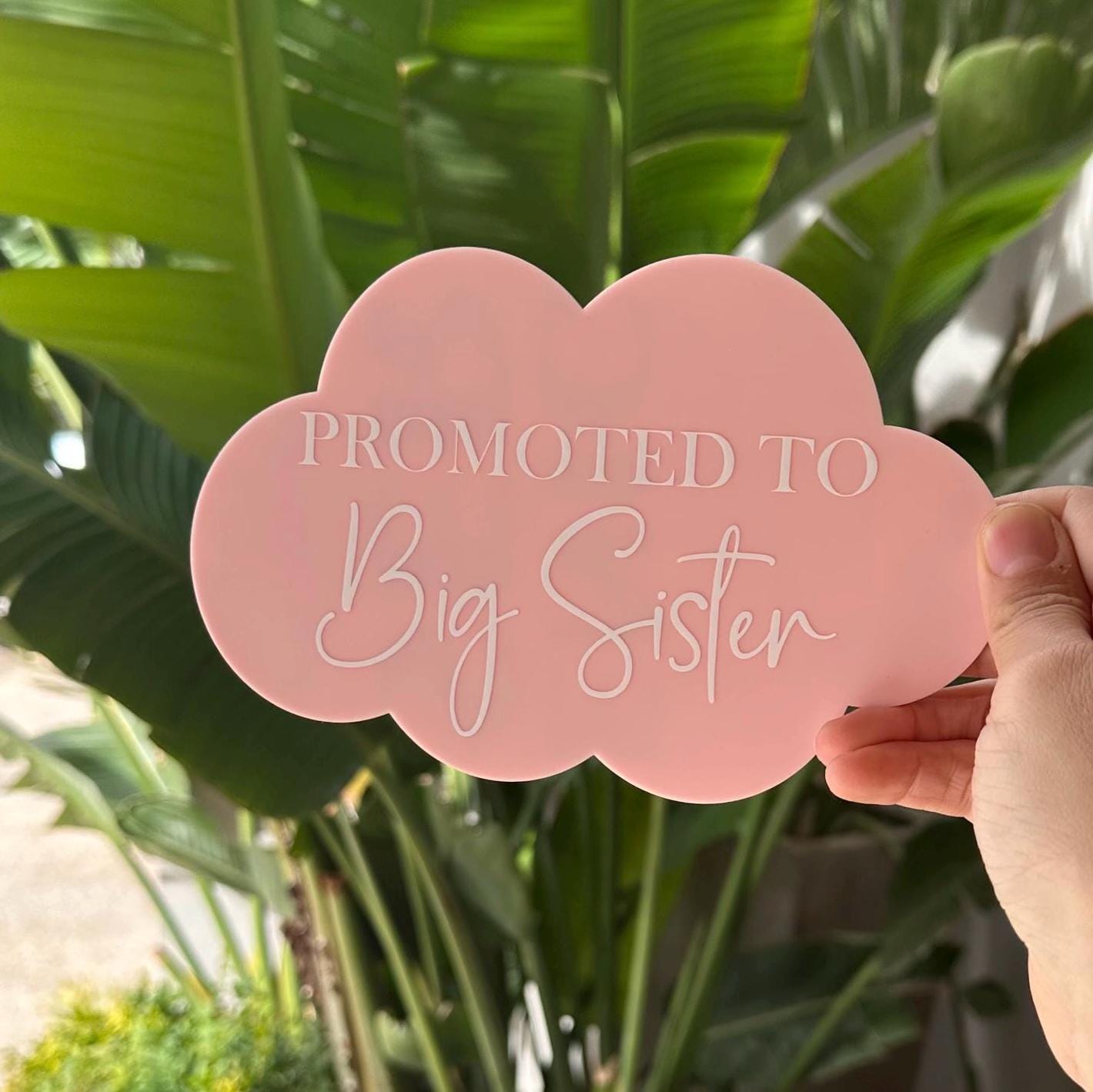 Promoted to Big Brother/Big Sister announcement plaque
