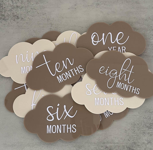 Set of 13 baby milestone discs, monthly age milestone signs, newborn photo props, baby shower gift, pregnancy keepsake cards, newborn gift