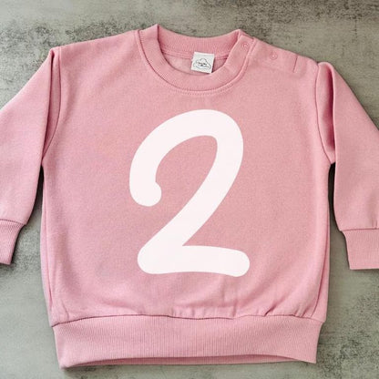 1st birthday jumper, birthday girl crewneck, birthday boy sweatshirt, kids number sweater, toddler custom first bday outfit,childrens fleece