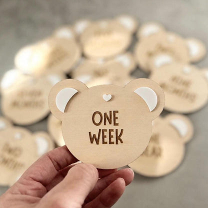 Baby's First Year Teddy Bear Milestones, Set of 15 Timber & Acrylic Plaques, Newborn Photo Props, Baby Shower Gift, 1st Year Keepsake Discs