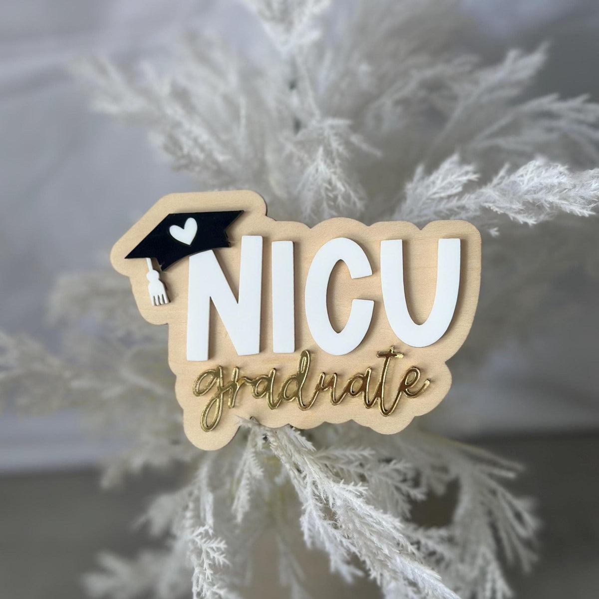 NICU Graduate Plaque, NICU Keepsake, Neonatal Milestone Gift, Premature Baby Keepsake, NICU Grad Sign