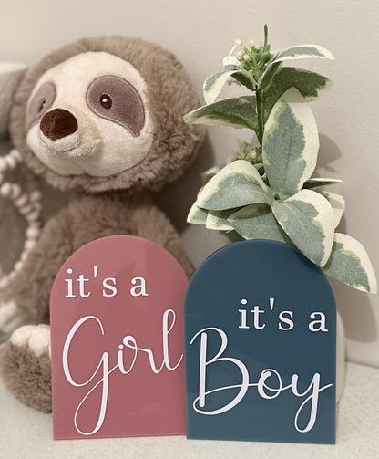 Its A Boy Its A Girl pregnancy announcement arch, gender reveal duo, dual gender announcement, boy girl twins, dcda twins gender reveal