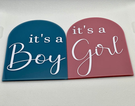 Its A Boy Its A Girl pregnancy announcement arch, gender reveal duo, dual gender announcement, boy girl twins, dcda twins gender reveal