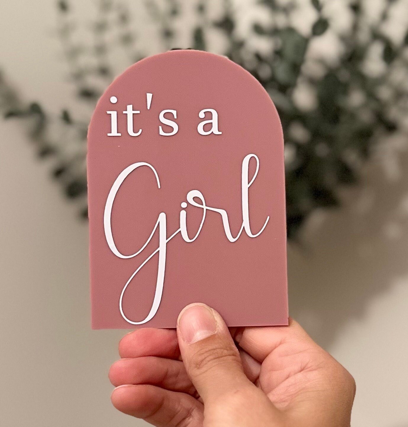 Its A Boy Its A Girl pregnancy announcement arch, gender reveal duo, dual gender announcement, boy girl twins, dcda twins gender reveal
