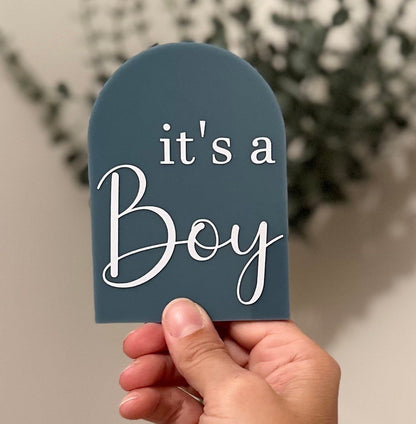 Its A Boy Its A Girl pregnancy announcement arch, gender reveal duo, dual gender announcement, boy girl twins, dcda twins gender reveal