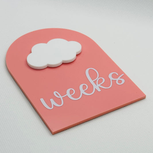 Pregnancy milestone plaque, pregnancy keepsake gift, reusable milestone disc, baby shower gift, weekly baby milestone, pregnant friend gift