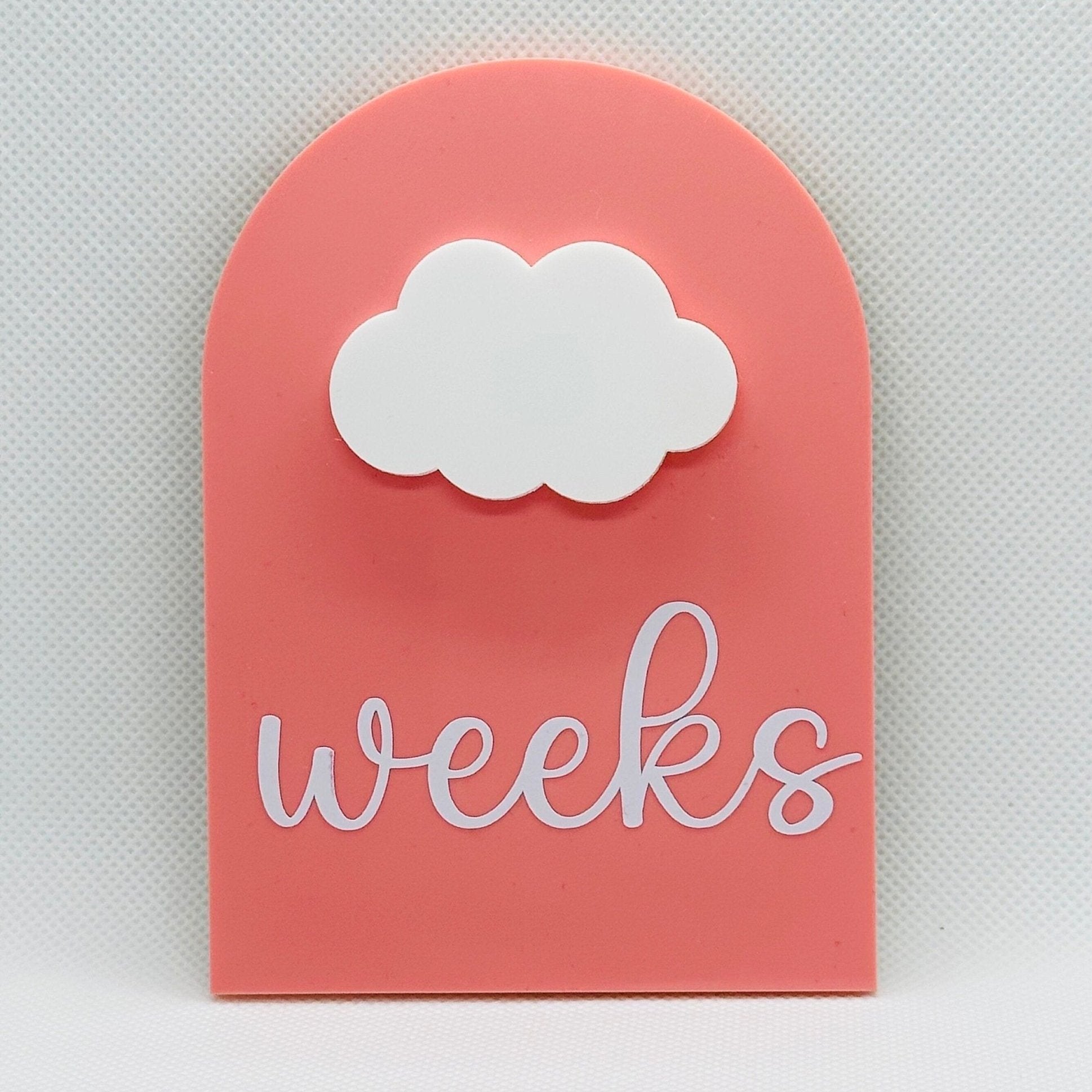 Pregnancy milestone plaque, pregnancy keepsake gift, reusable milestone disc, baby shower gift, weekly baby milestone, pregnant friend gift
