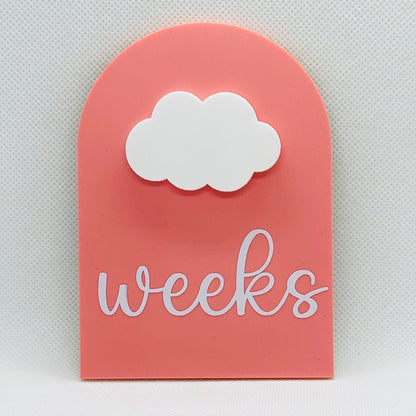 Pregnancy milestone plaque, pregnancy keepsake gift, reusable milestone disc, baby shower gift, weekly baby milestone, pregnant friend gift