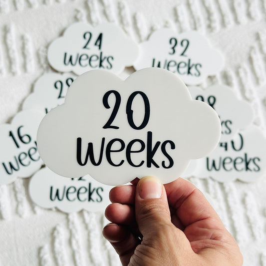 Cloud-shaped pregnancy milestone discs, monthly pregnancy milestone set, pregnancy photo props, baby shower gift, pregnancy keepsake gift